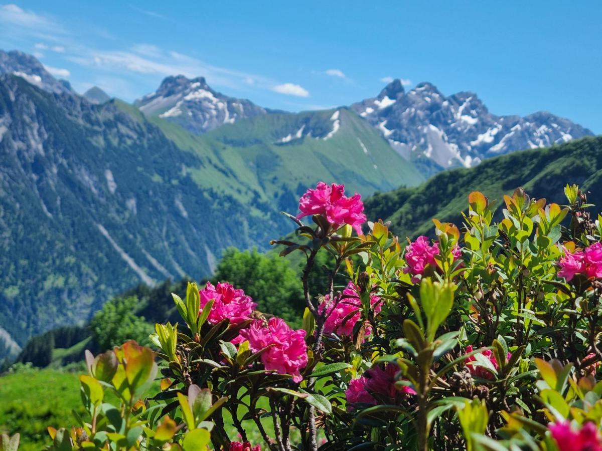 Gaestehaus Alpina รีซแลร์น ภายนอก รูปภาพ
